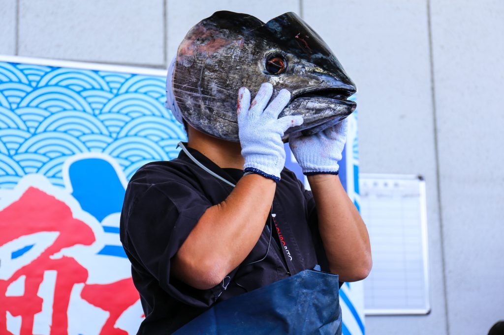 マグロ解体ショーでしか食べられない マグロの希少部位をご紹介 鮪人 まぐろびと 生 本マグロ解体ショー