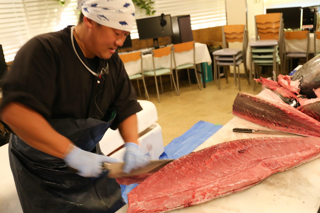 マグロのカロリーってどのくらい 赤身や大トロなど パターン別に紹介 鮪人 まぐろびと 生 本マグロ解体ショー